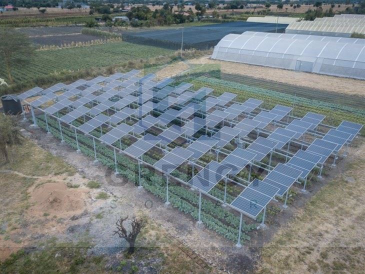 Agriculture Solar Farm Mounting Systems