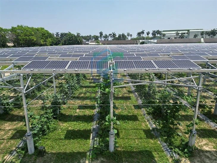 Agriculture Solar Farm Ground Mount Racking System